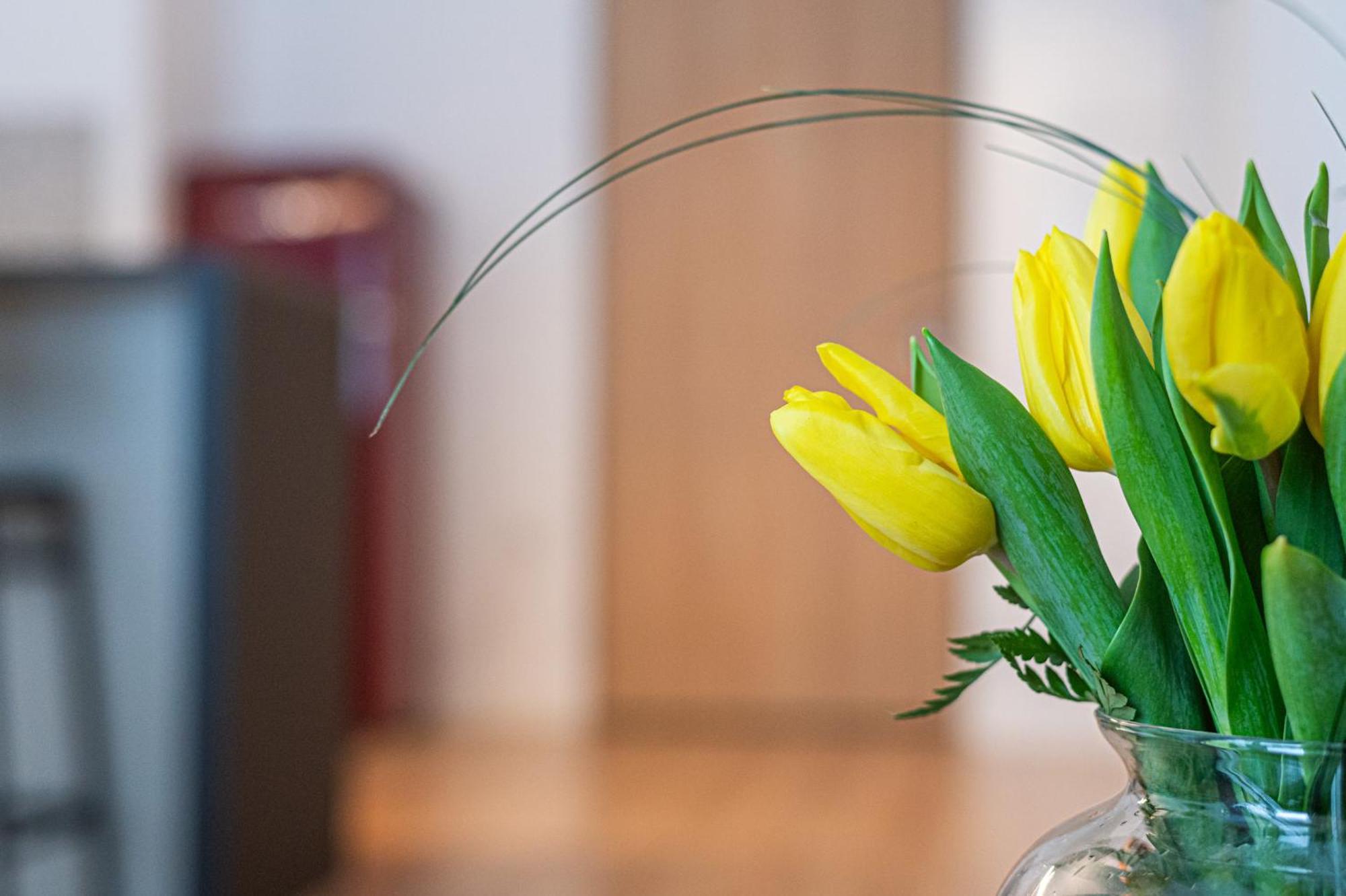 Latarnikow - Billberry Apartment Gdansk